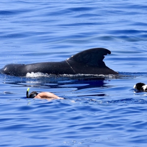 a bird swimming in water next to a body of water