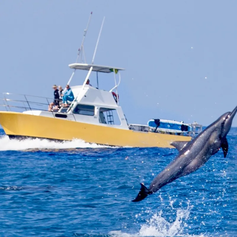a small boat in a body of water