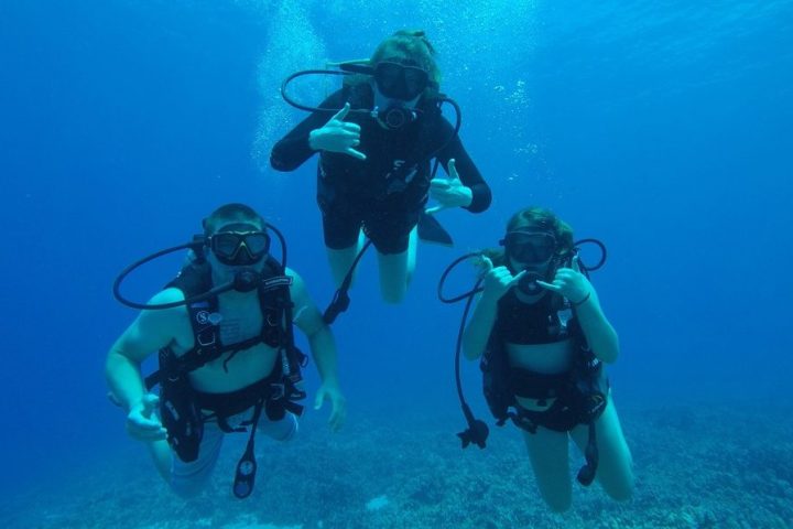 a group of people swimming in a body of water